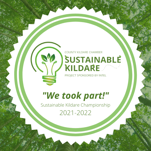 Sustainable Kildare Championship | Allenwood Community Development ...
